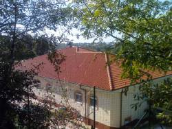 253.JPG