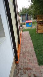 DSC05384.JPG